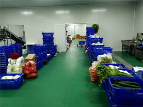 佛山厂区食品批发配送公司在货物配送中的核心解决方案